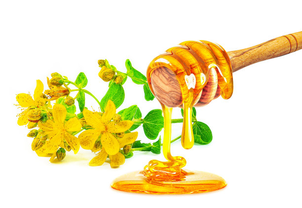 蜂蜜和圣约翰草图片下载