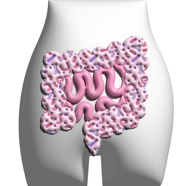 3d渲染人体肠道微生物组。肠子在骨盆轮廓的背景上。结肠体积图图片下载