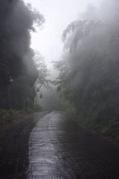 雾中的迷人 Darjeeling 神秘早晨图片下载