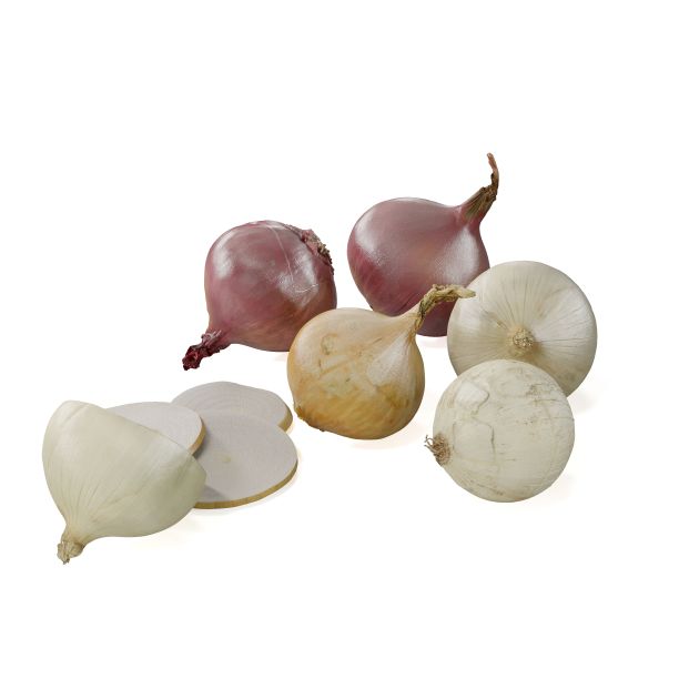 各种洋葱的3D渲染，它们的叶子散落在白色的表面上图片下载