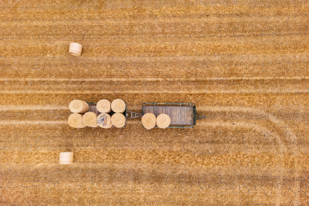 鸟瞰图，几捆稻草放在两辆拖车上，站在干燥的麦茬地里图片下载