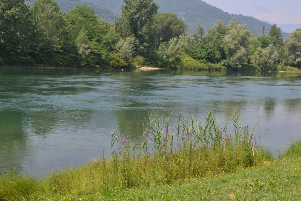 美丽的全景开花河艾达河岸附近的莱科在一个阳光明媚的夏日。图片下载