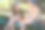 小学生，一个十几岁的男孩和一个女孩坐在城市公园的长凳上，聊天，看书，做作业，这是一个明媚的夏日图片下载