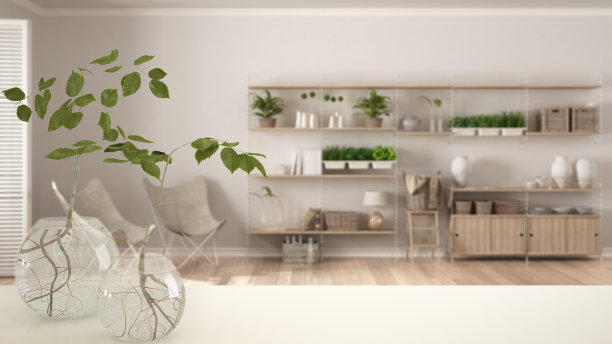 白色的桌面或架子上有水培植物的玻璃花瓶，点缀，水中植物的根，花瓶中的树枝，室内植物，现代模糊的客厅背景，室内设计图片下载