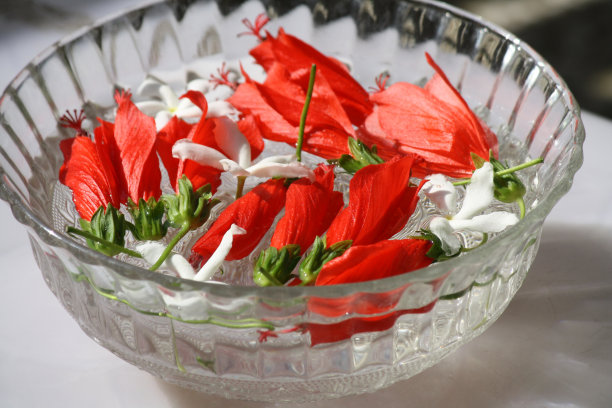 可乐红色的中国芙蓉和白色的茉莉花放在一个玻璃碗里:(图片来自Sanjiv Shukla)图片下载