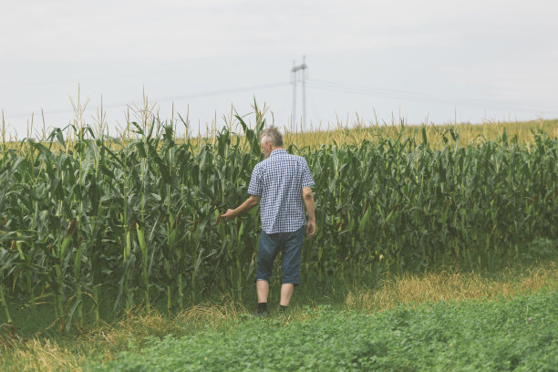 农业小型企业图片下载