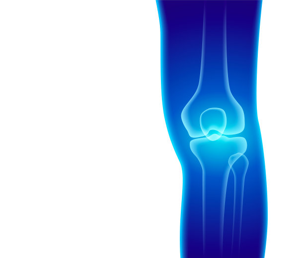腿部和膝关节的x光片图片下载