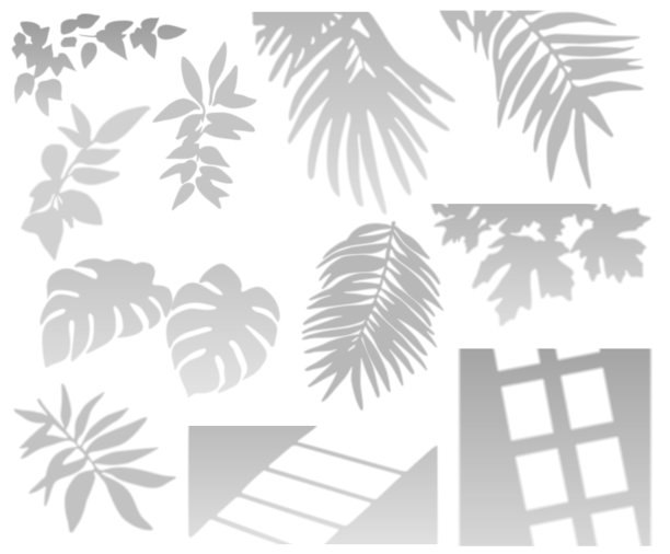 热带棕榈叶，植物和窗影设置图片下载