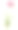 古董植物学插图:节俭，海粉，普通蒿图片下载
