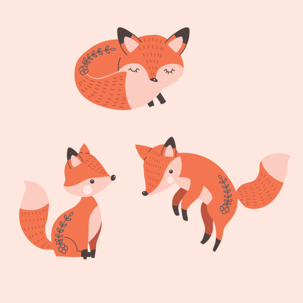 可爱的狐狸孤立的动物设置图片下载