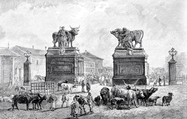 维也纳的牛市图片下载