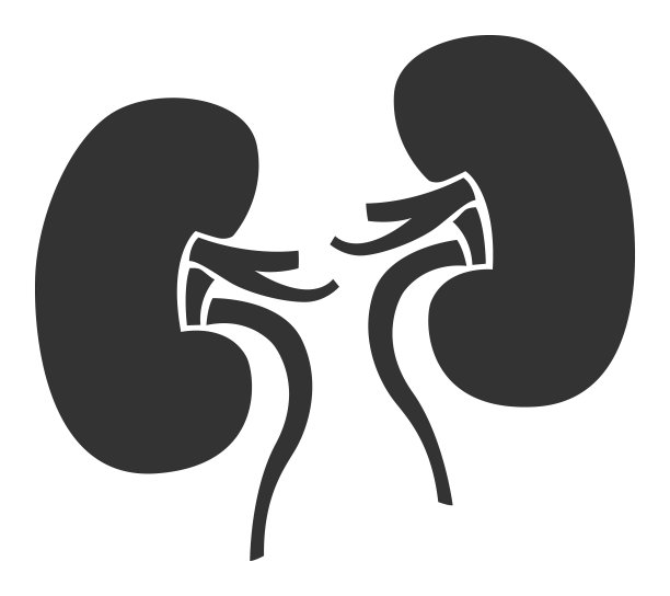 人体内部器官肾脏图标图片下载