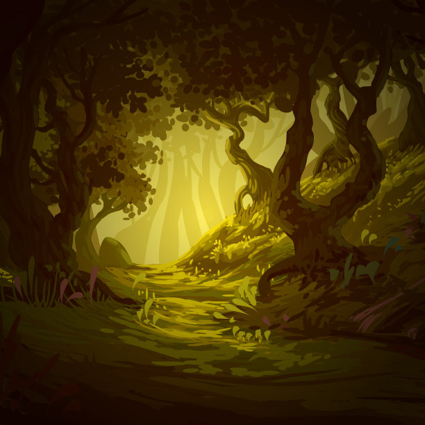 美丽的森林图片下载