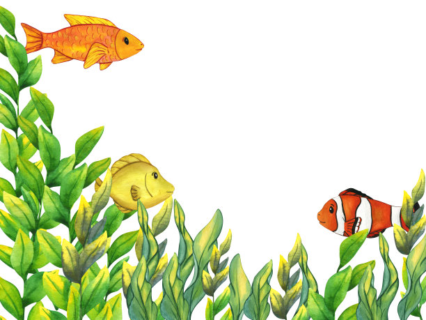 水彩海藻框架与热带鱼。白色背景上孤立的海洋植物。手绘植物插图水下草的孩子印刷，装饰和设计图片下载