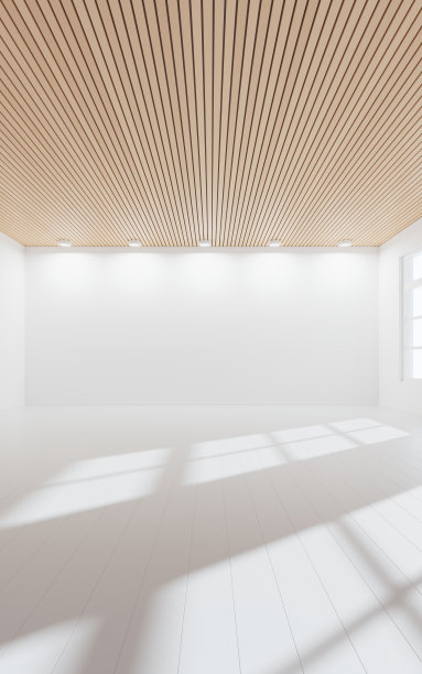 空房间有光进来，3d渲染。图片下载