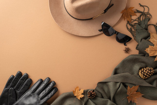 秋季灵感的经典时尚灵感。顶视图的毡帽，柔软的皮手套，时尚的太阳镜，优雅的围巾，枫叶，八角茴香，锥体米色背景与空间的文字或广告图片下载