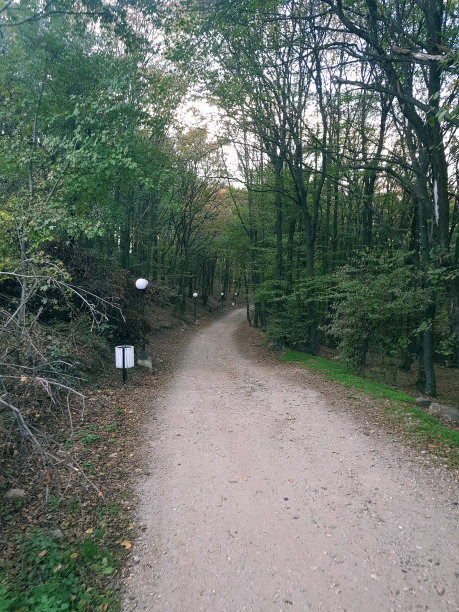秋天自然森林山秋天景观旅游秋天图片旅游山美丽的秋天图片下载