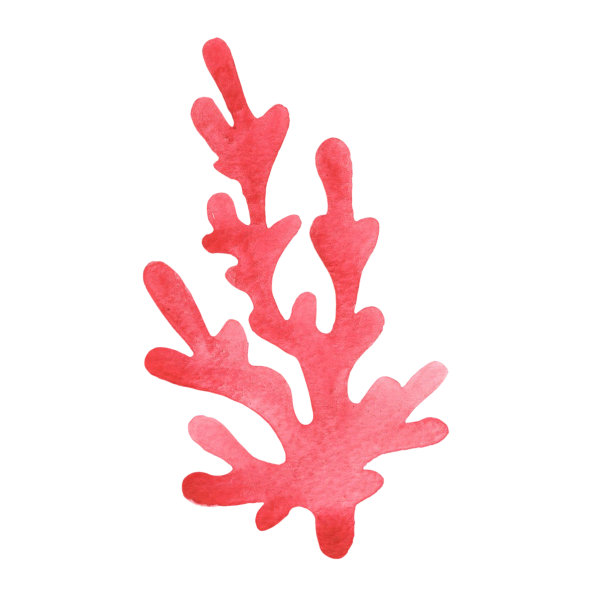 红珊瑚水彩插图或装饰的沿海生活和海洋生物的概念。图片下载