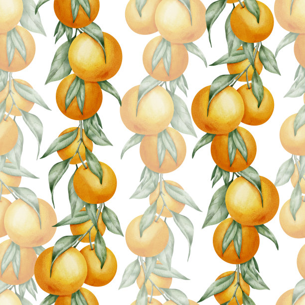 无缝图案与橙果枝，绿叶。手绘水彩柑橘类食品的包装纸或纺织品设计插图。在白色孤立的背景上用橘子打印图片下载