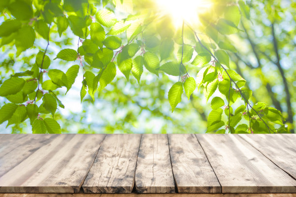 木质桌子与森林散景背景图片下载