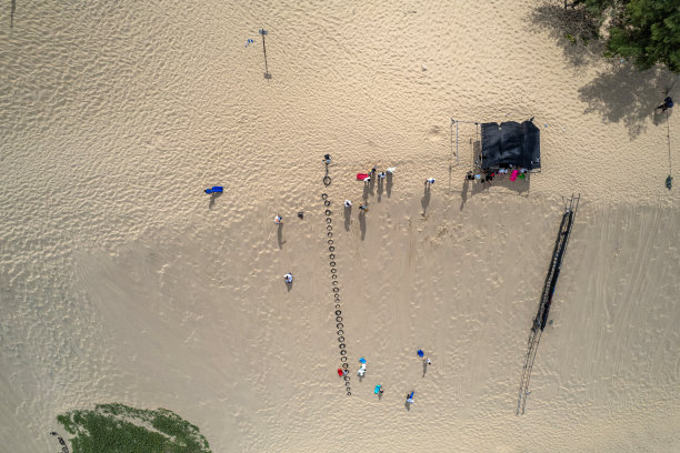 沙滩上的沙子、植物和人的鸟瞰图图片下载