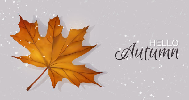 秋叶横网横幅。图片下载