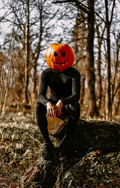 万圣节南瓜在森林里图片下载