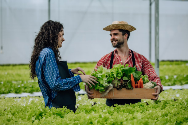 水培农场主人选择蔬菜，监测生长，培育温室可持续农业图片下载