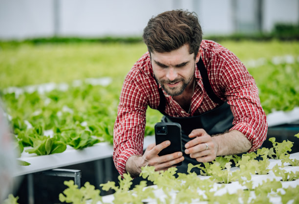农场所有者计算资源、利润、业绩、费用，最大化收入，控制成本。图片下载
