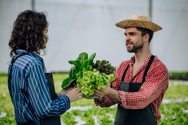 水培农场主人选择蔬菜，监测生长，培育温室可持续农业图片下载