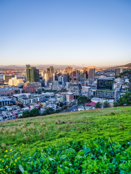 在南非开普敦的春天，从郁郁葱葱的绿色山坡上拍摄的日落时开普敦城市天际线的垂直照片图片下载
