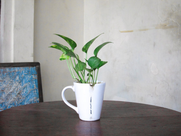 升级改造的杯子图片下载