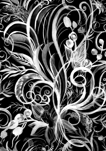 植物插图盛开的红色花朵图片下载