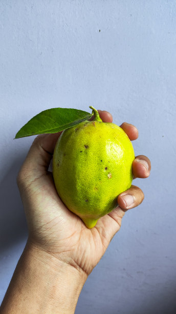传统市场出售的新鲜柠檬图片下载