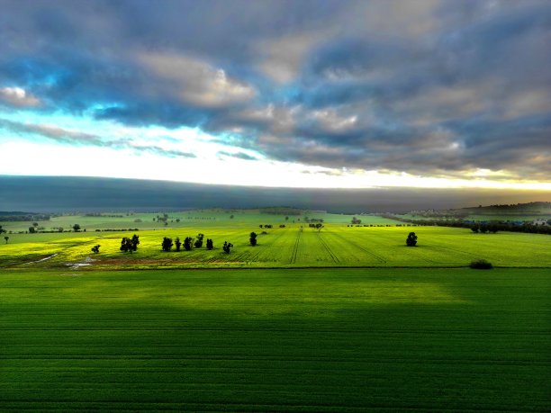 新作物图片下载