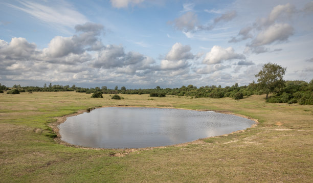 郊野空地上的池塘图片下载