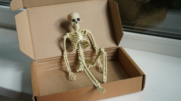 骷髅坐在一个纸箱里。图片下载
