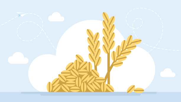 小麦和谷物穗。金色的玉米穗。谷物植物和谷物，黑麦和小麦穗穗。食品包装设计模板，雕刻食品。矢量平面插图。图片下载