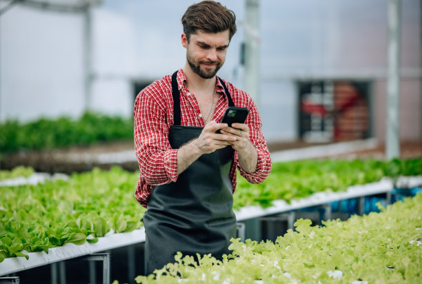 农场所有者计算资源、利润、业绩、费用，最大化收入，控制成本。图片下载