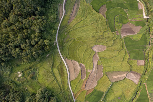 丘陵地区农田鸟瞰图图片下载