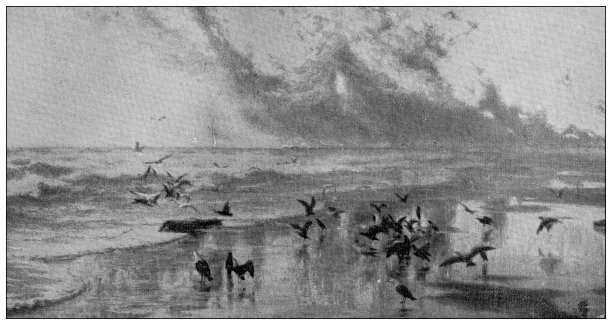 古玩形象:绘画，Tattegrain的“Epave”图片下载