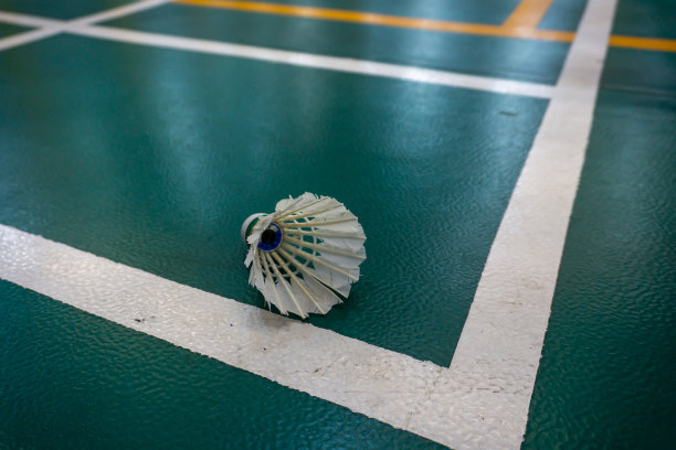 绿色羽毛球场上的白色羽绒毽子。图片下载