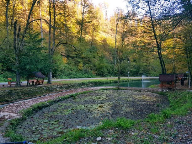 秋天自然河流森林秋天景观旅游秋天图片旅游河流美丽的树叶春天湖图片下载