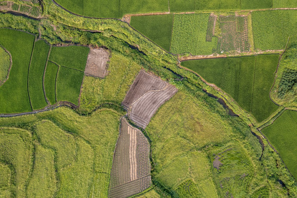 丘陵地区农田鸟瞰图图片下载