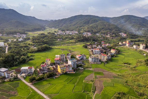 在阳光明媚的日子里鸟瞰农村房屋和农田图片下载