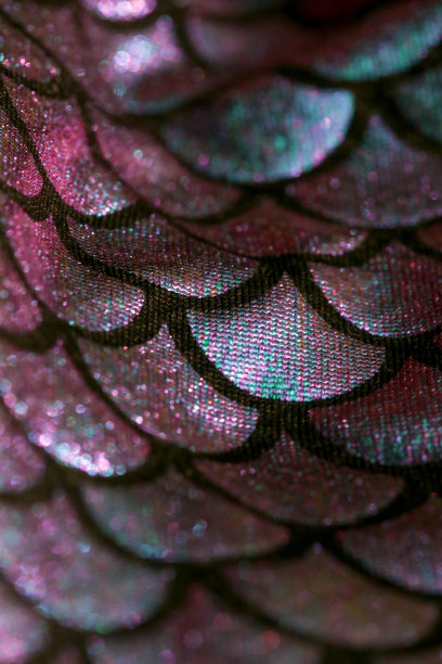 美人鱼的尾巴图案，近距离看。闪亮的氨纶鱼皮纹理。为女孩设计的纺织品。图片下载