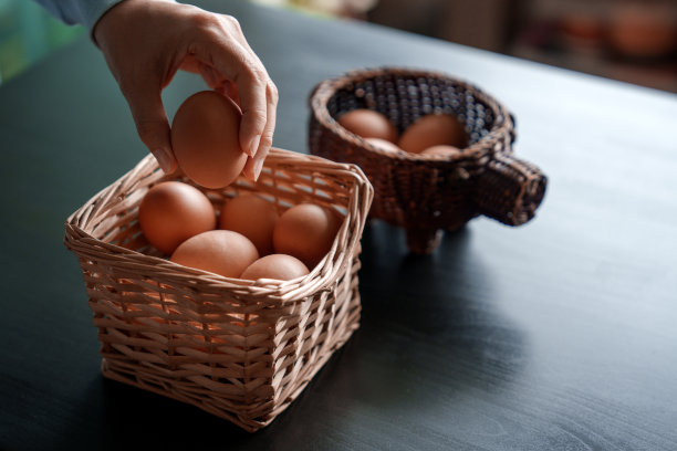 不要把所有的鸡蛋放在一个篮子里图片下载