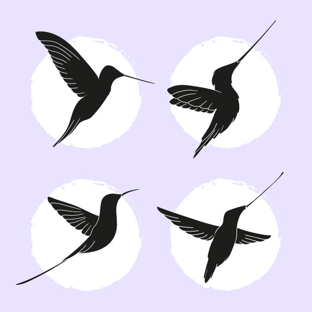 平蜂鸟剪影集图片下载