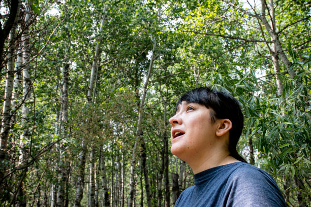 被大自然的巨人所吸引:令人敬畏的森林威严图片下载