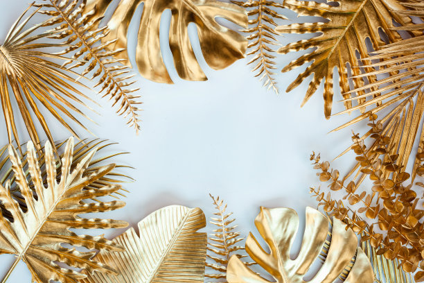 创造性的自然布局热带树叶。图片下载